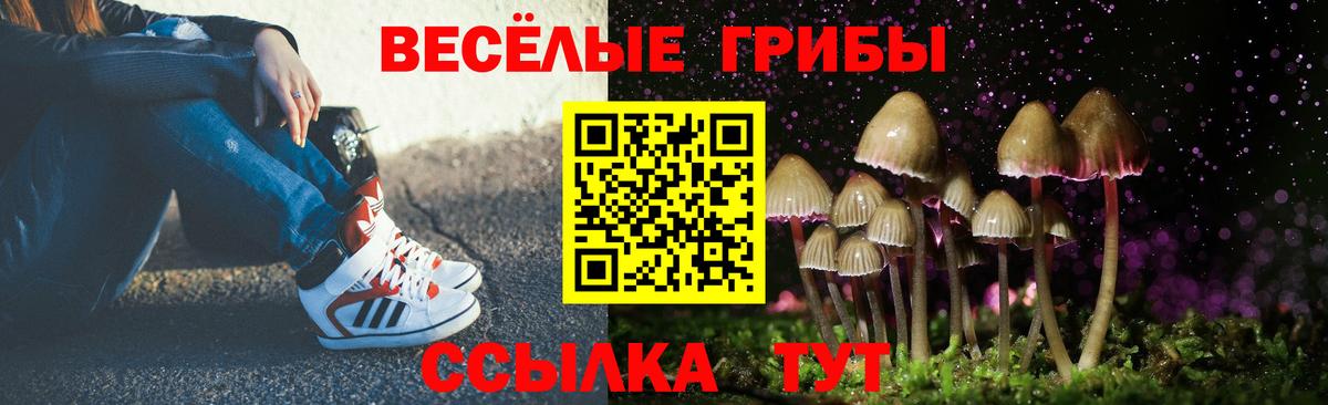Нефтеюганск  Псилоцибиновые грибы ЛСД  Вход с VPN 